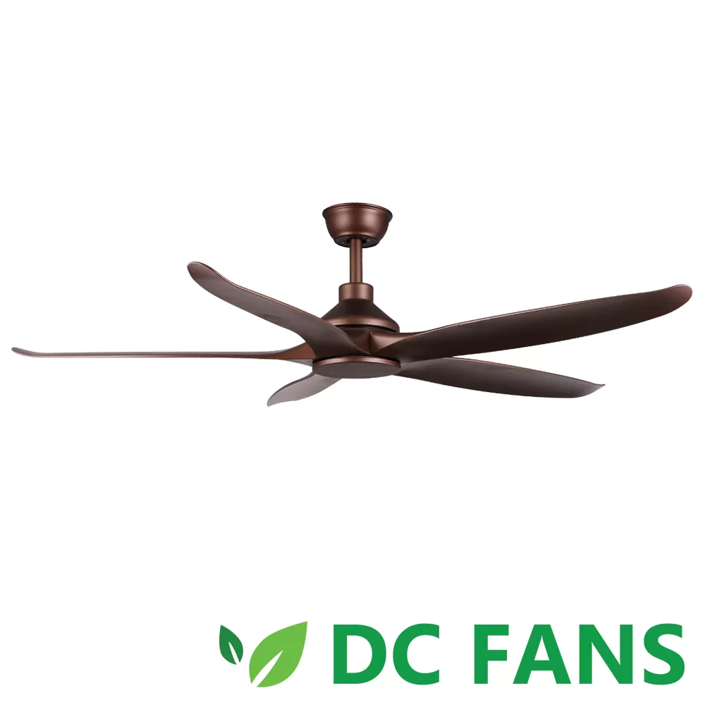 DC 160 NL 54 SG