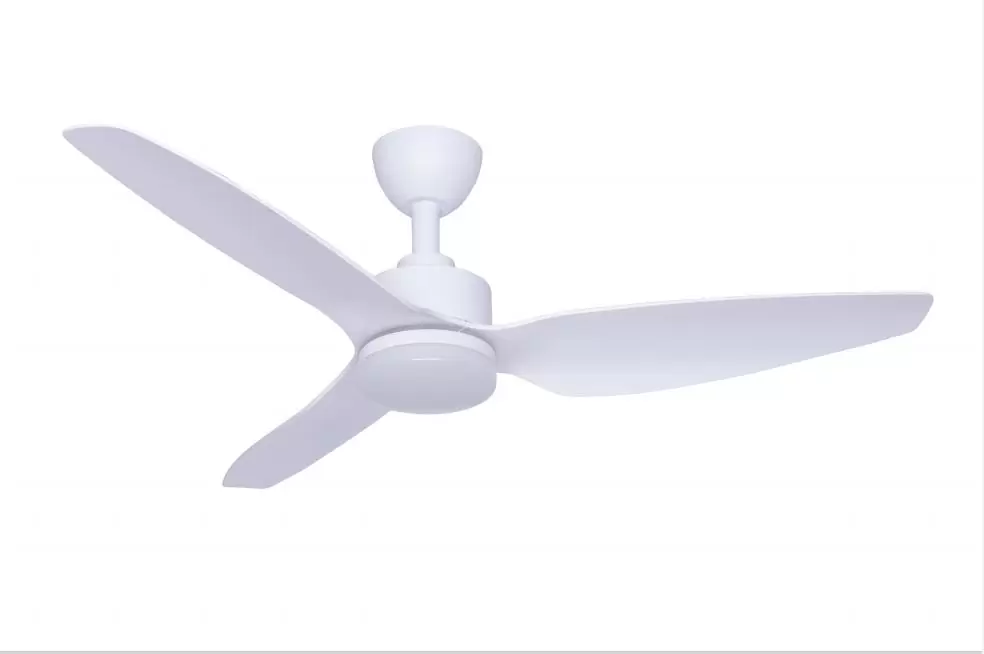 DK005 White