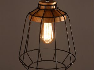 Industrial Caged Pendant PD3801