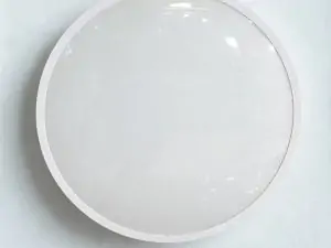 Acrylic Ceiling Light 3401