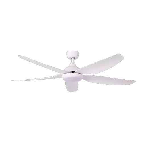 StarWhite PNG StarWhite PNG