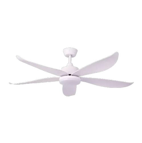 White Png White Png
