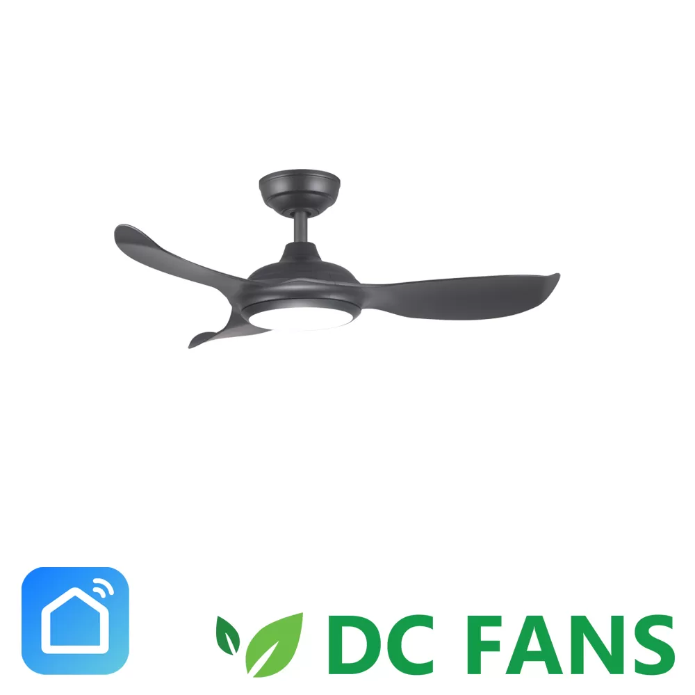 DC 368 38 CO 1