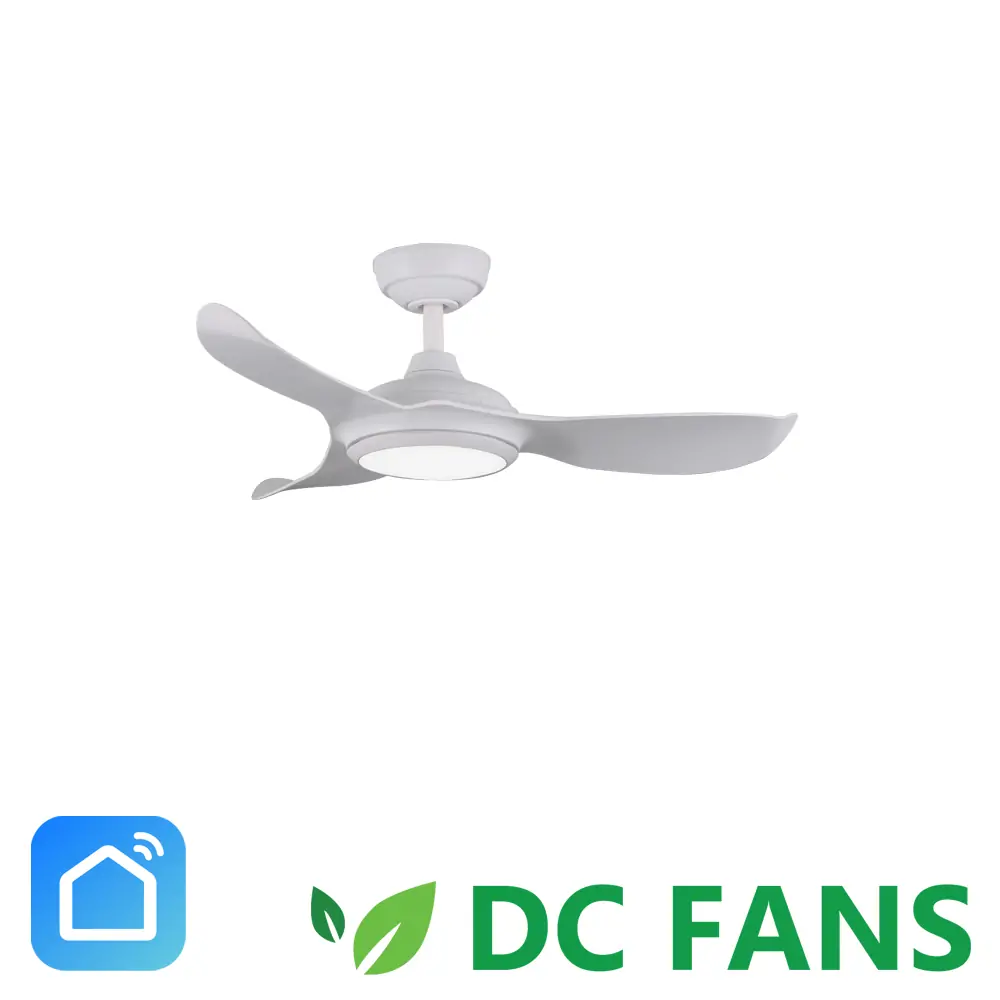 DC 368 38 WH 1