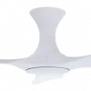 21122019 113717 AM 463 WH NL 2 prod 21122019 113717 AM 463 WH NL 2 prod