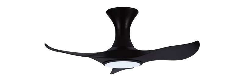 12052021 110311 AM 343 BK LED 2 prod