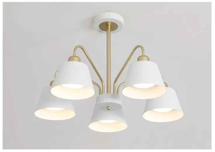 PD3066 WH5