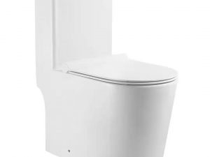 Aalto Washdown- One piece Water Closet/ Toilet Bowl AL8000