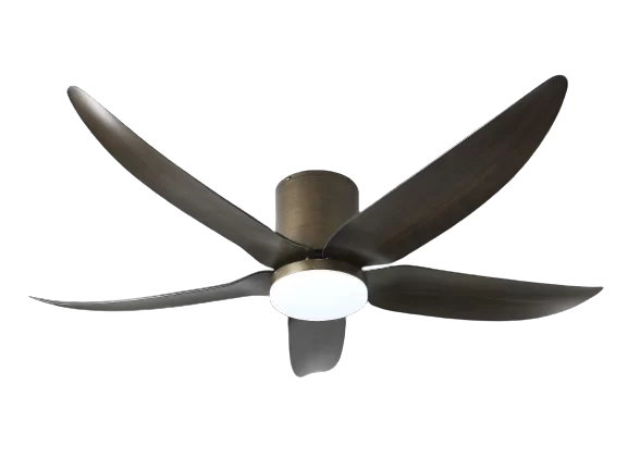 AB with Lights AB with Lights