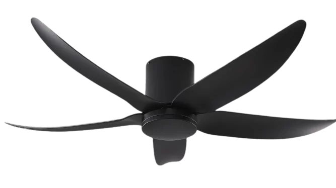 Black Png Black Png