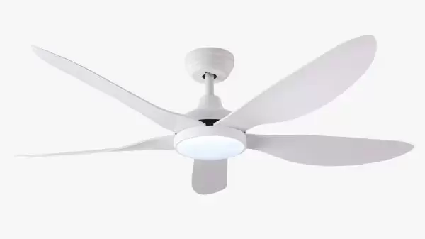 IMG 20221003 WA0003
