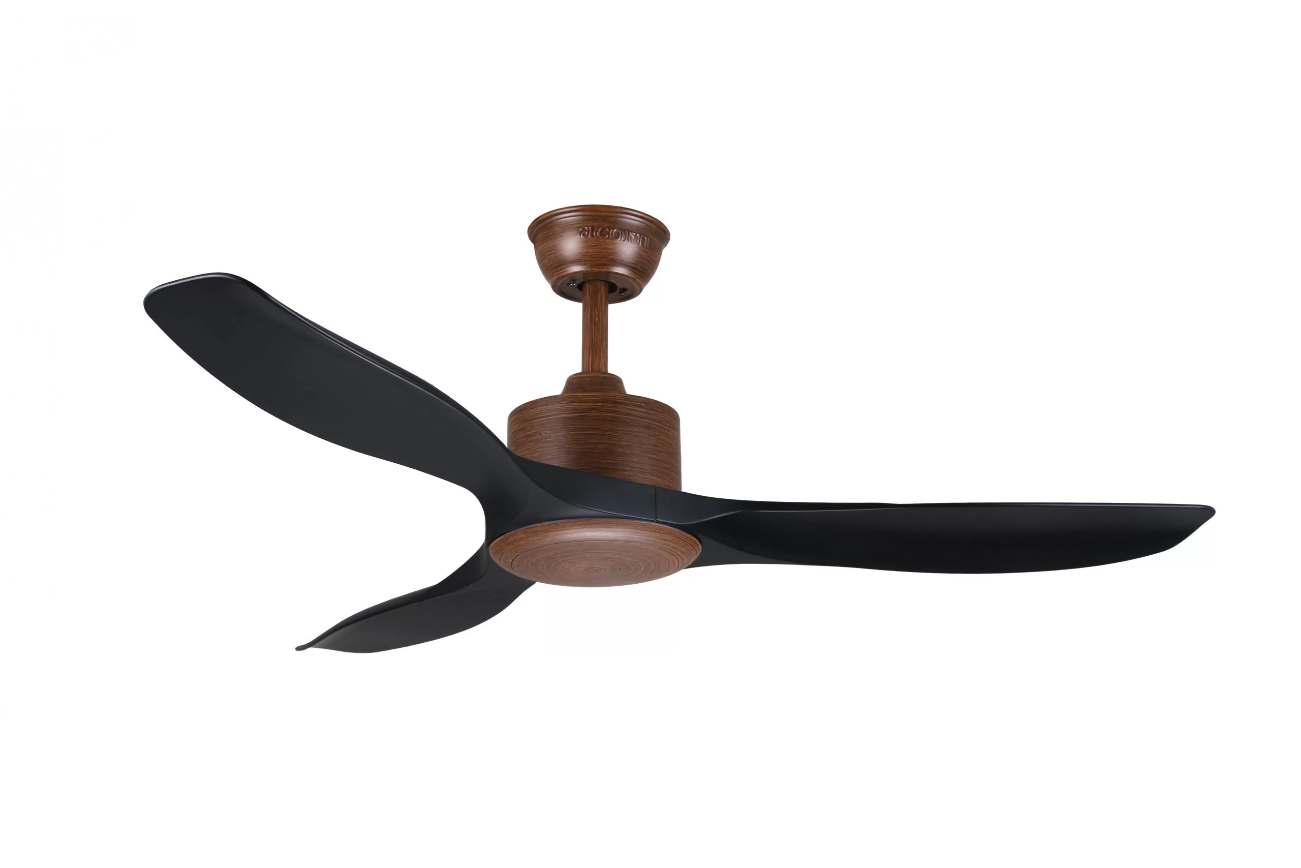 DC 168 DWD MBK NL scaled