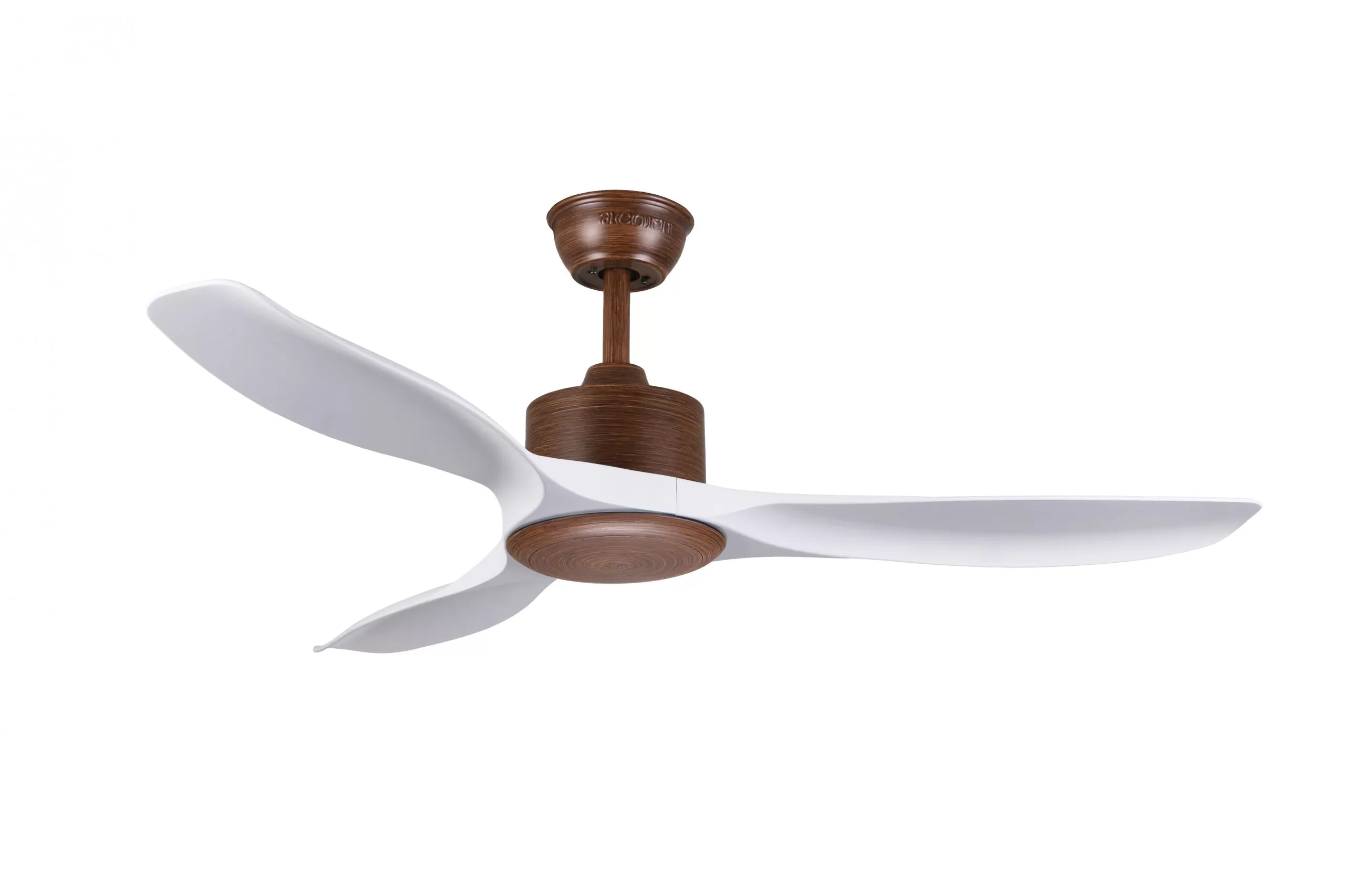 DC 168 DWD MWH NL scaled