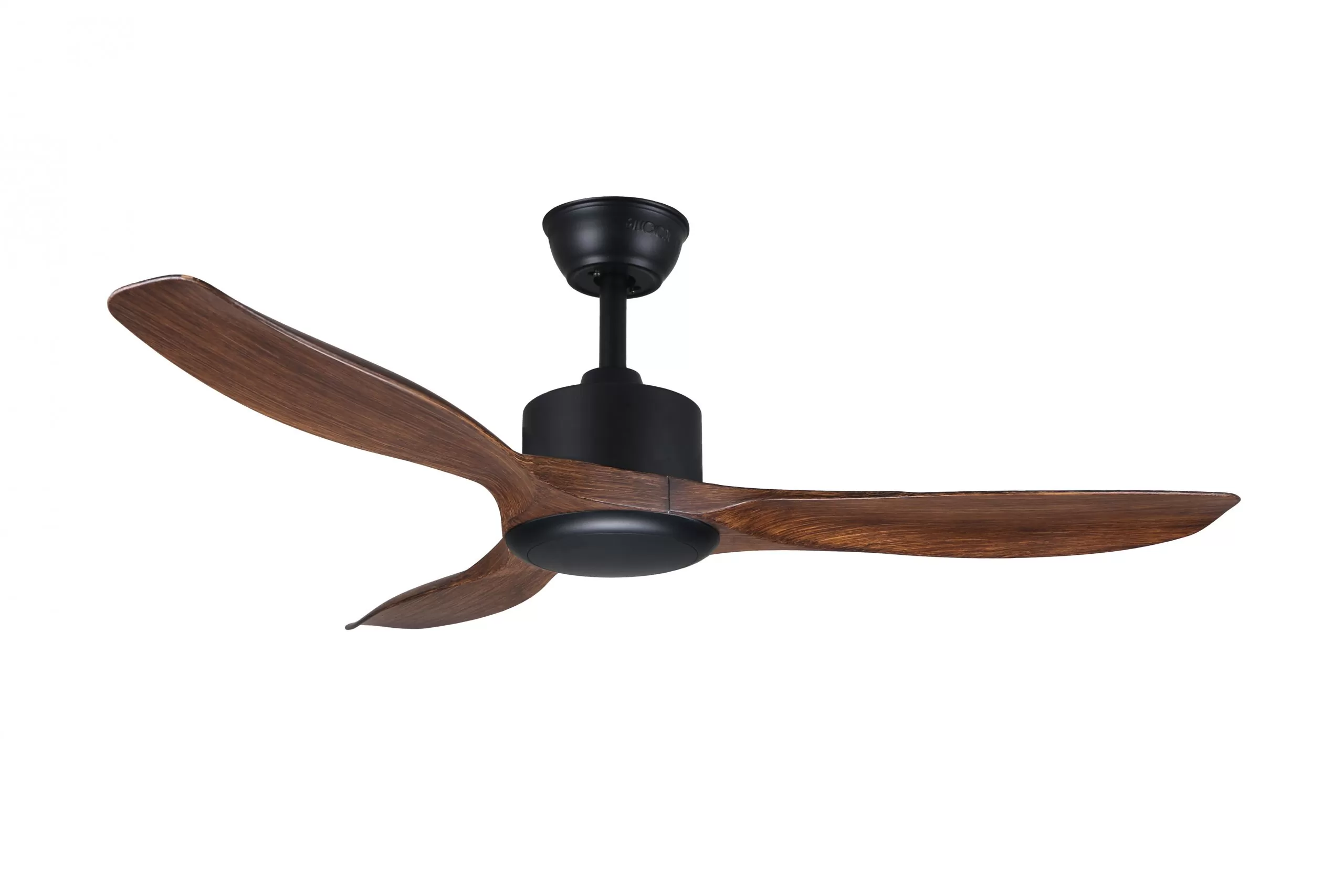 DC 168 MBK DWD NL scaled