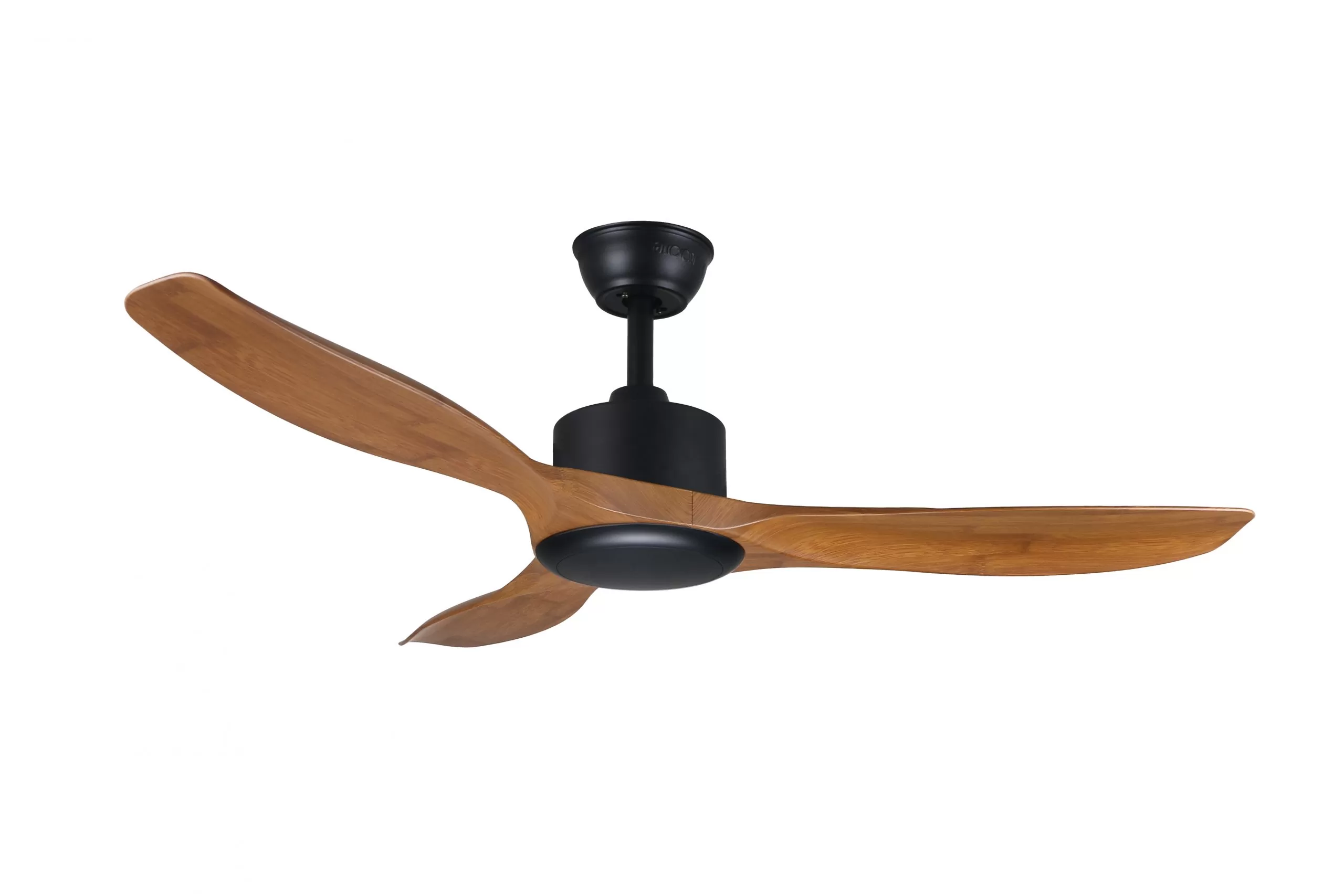 DC 168 MBK TWD NL scaled