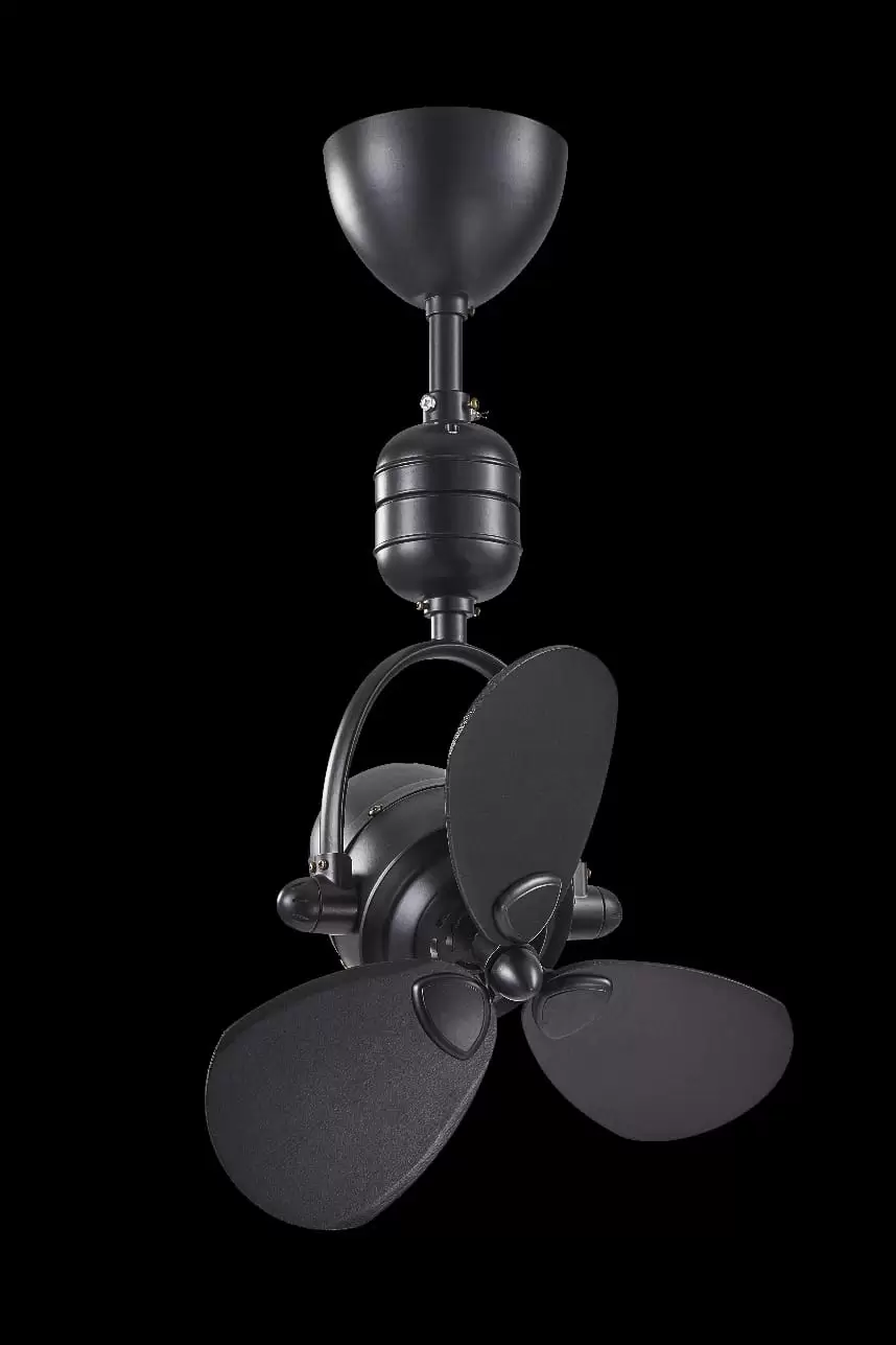 Hagar Black Ceiling