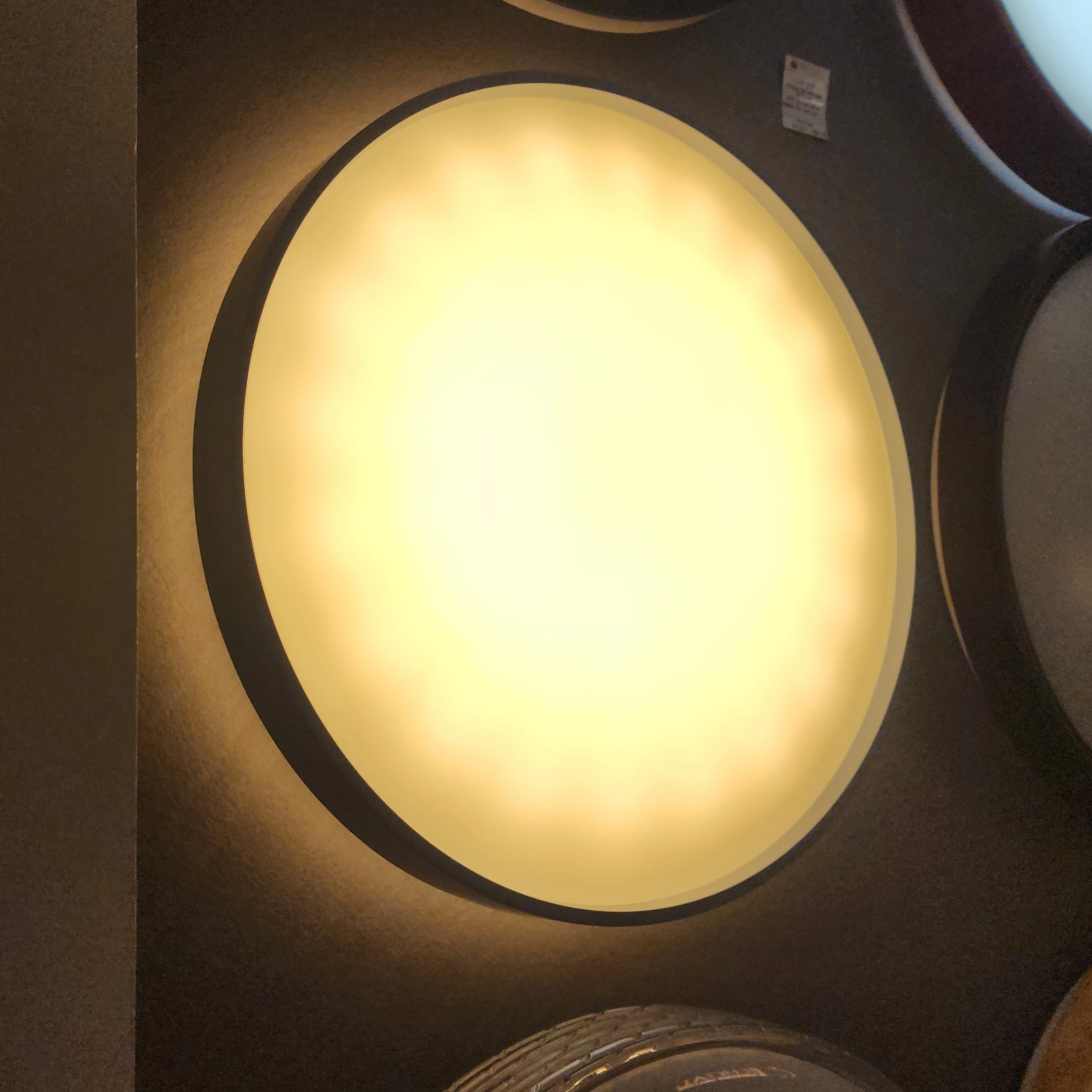 2497 Lighted