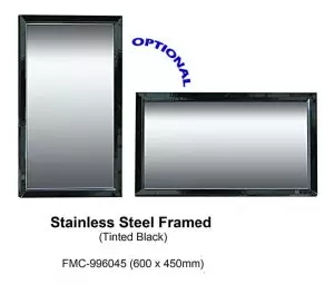 Fidelis Mirror in Tinted Black