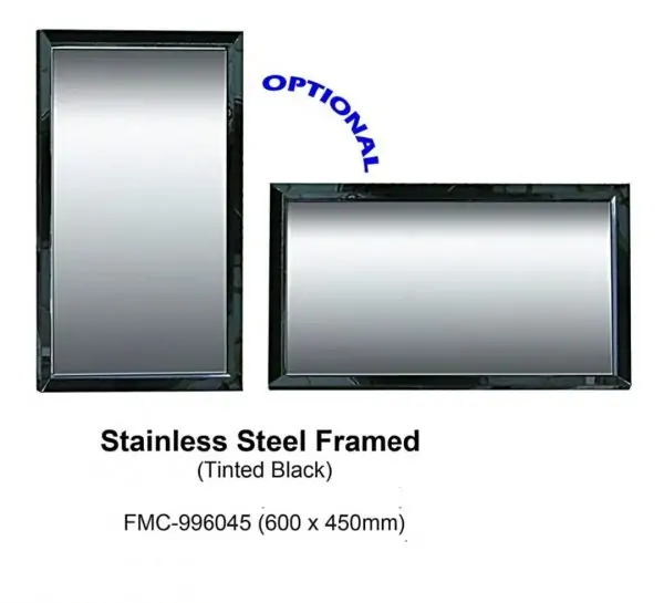 Fidelis Mirror in Tinted Black