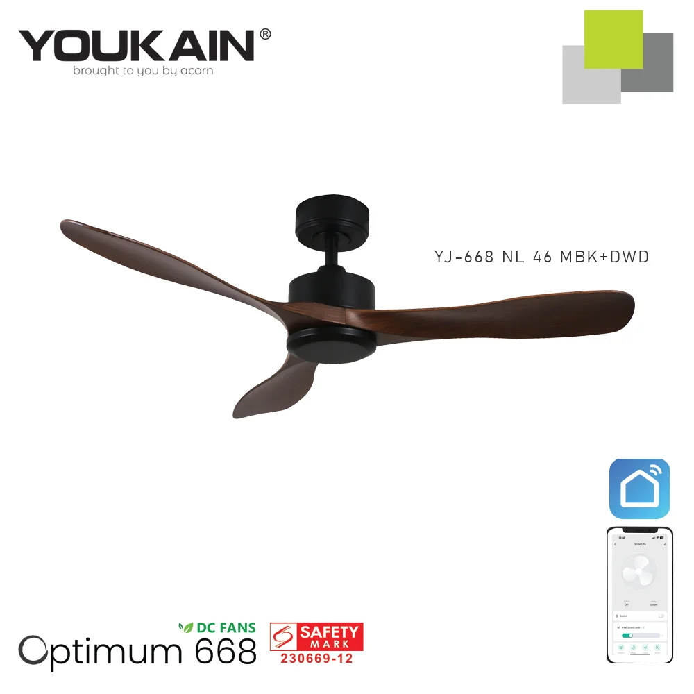 YJ 668 NL 46 MBKDWD