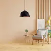 PD-6835-BK INS
