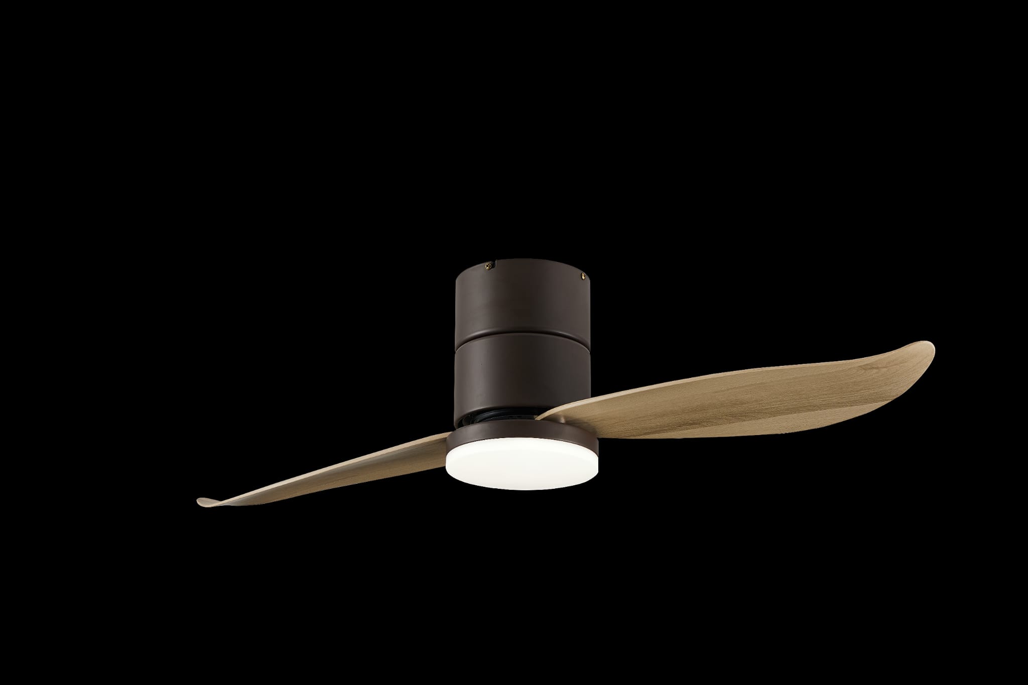 Bestar Falcon BLK+MPLWD (1)