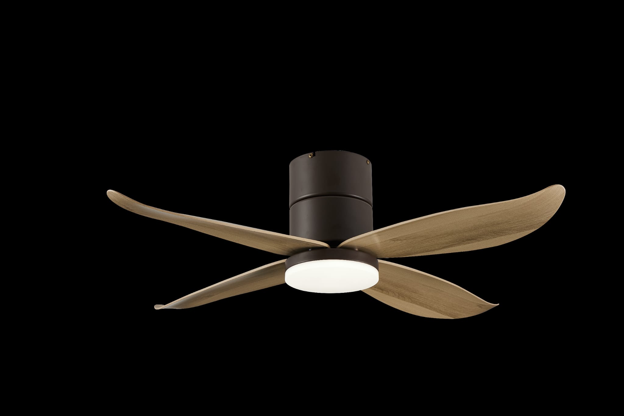 Bestar Falcon BLK+MPLWD (2)