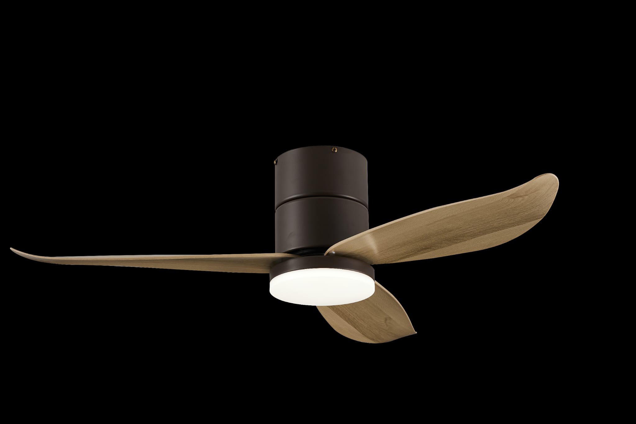 Bestar Falcon BLK+MPLWD (3)