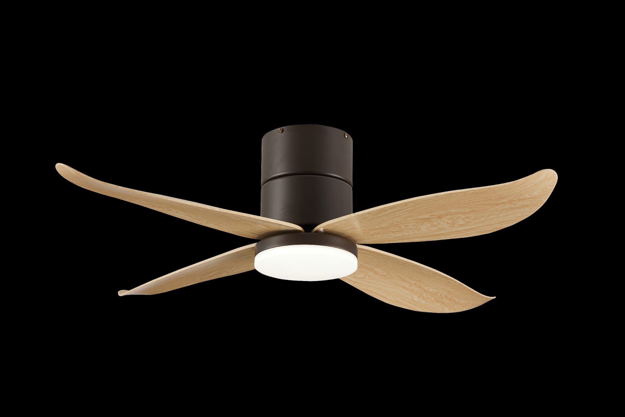 Bestar Falcon BLK+PW (2)