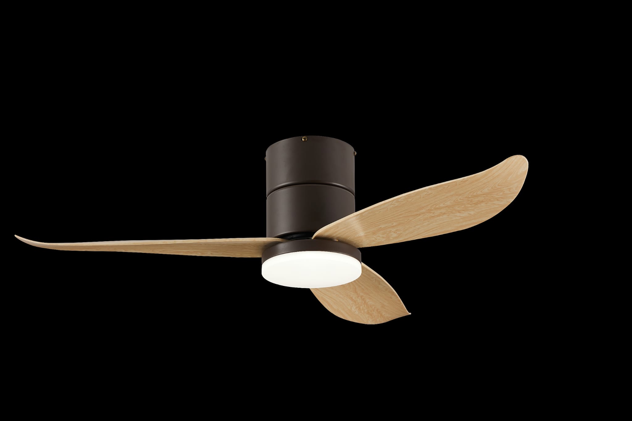 Bestar Falcon BLK+PW (3)