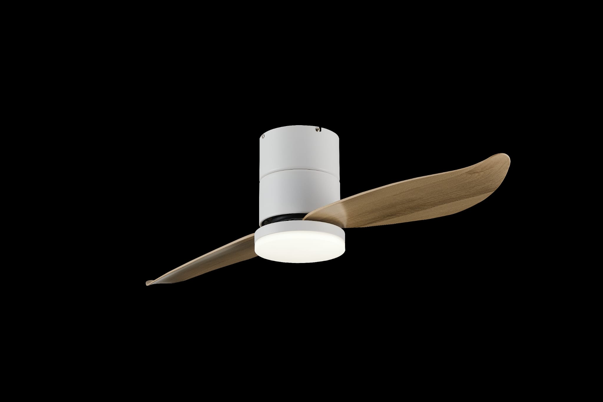 Bestar Falcon WH+MPLWD (1)