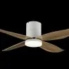 Bestar Falcon WH+MPLWD (2)
