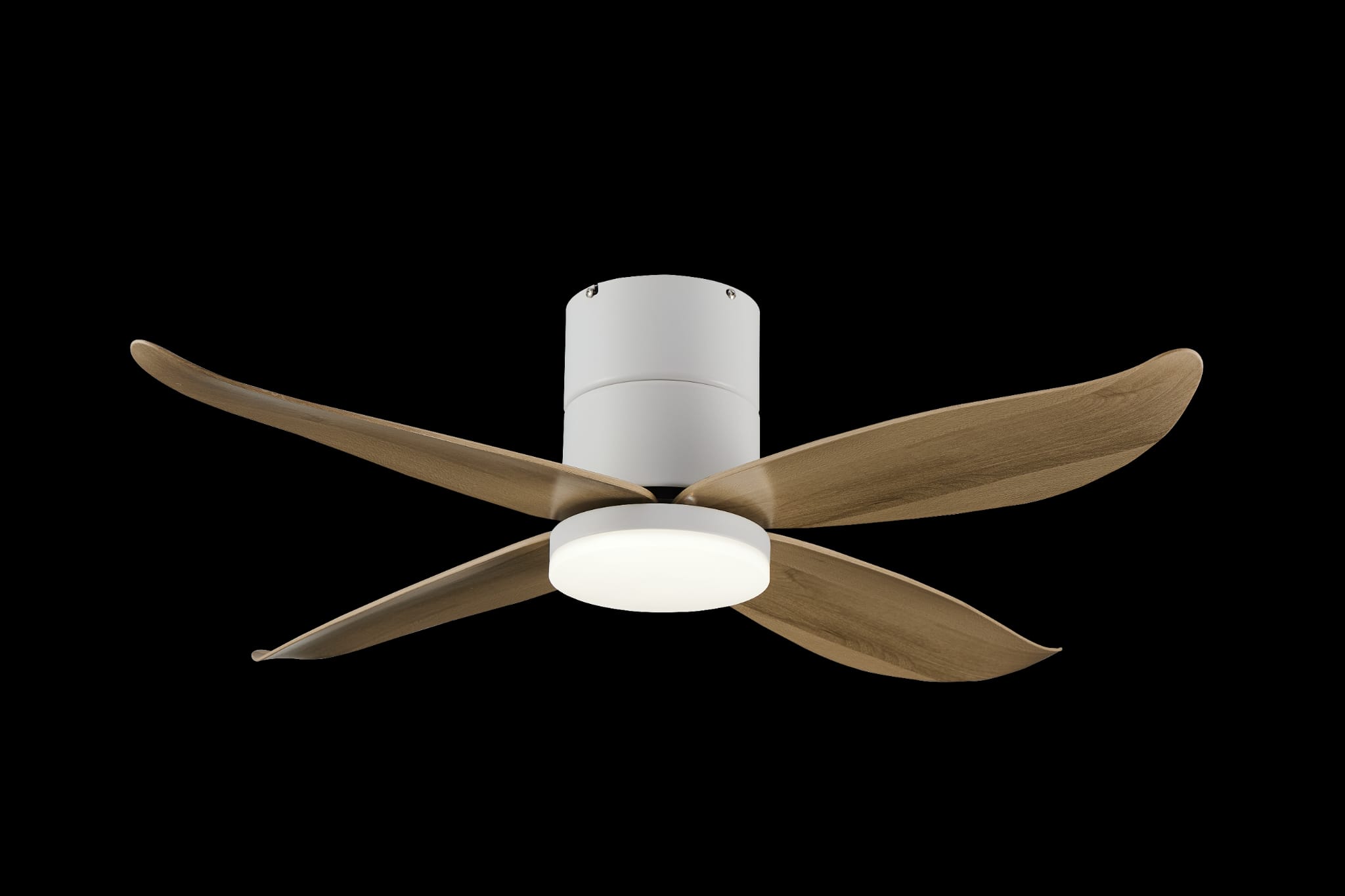Bestar Falcon WH+MPLWD (2)