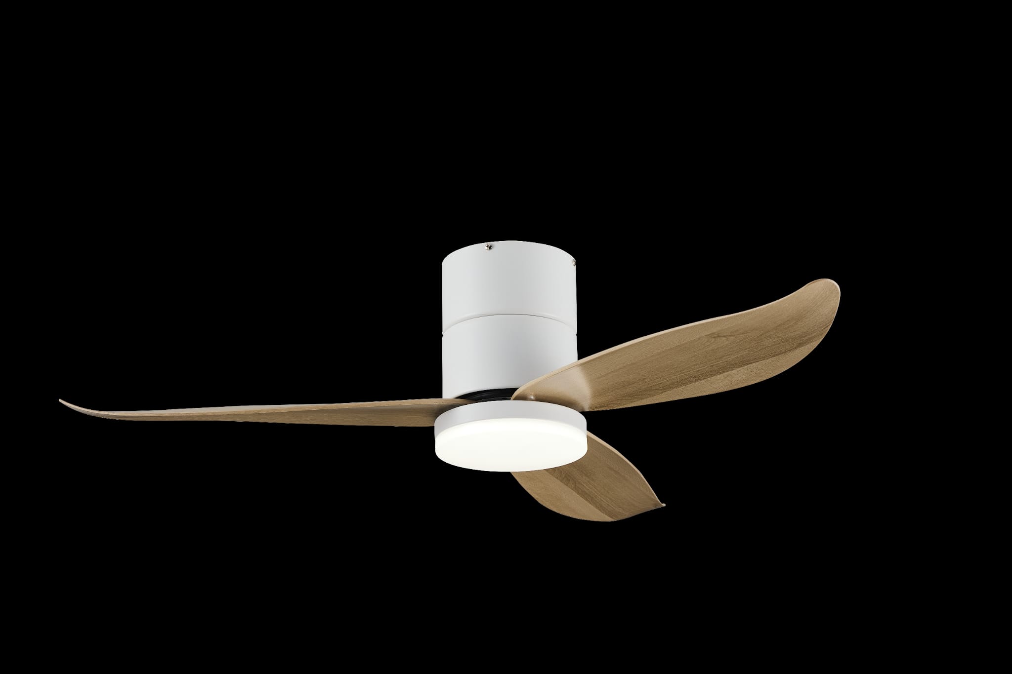 Bestar Falcon WH+MPLWD (3)