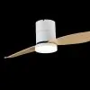 Bestar Falcon WH+PW (1)
