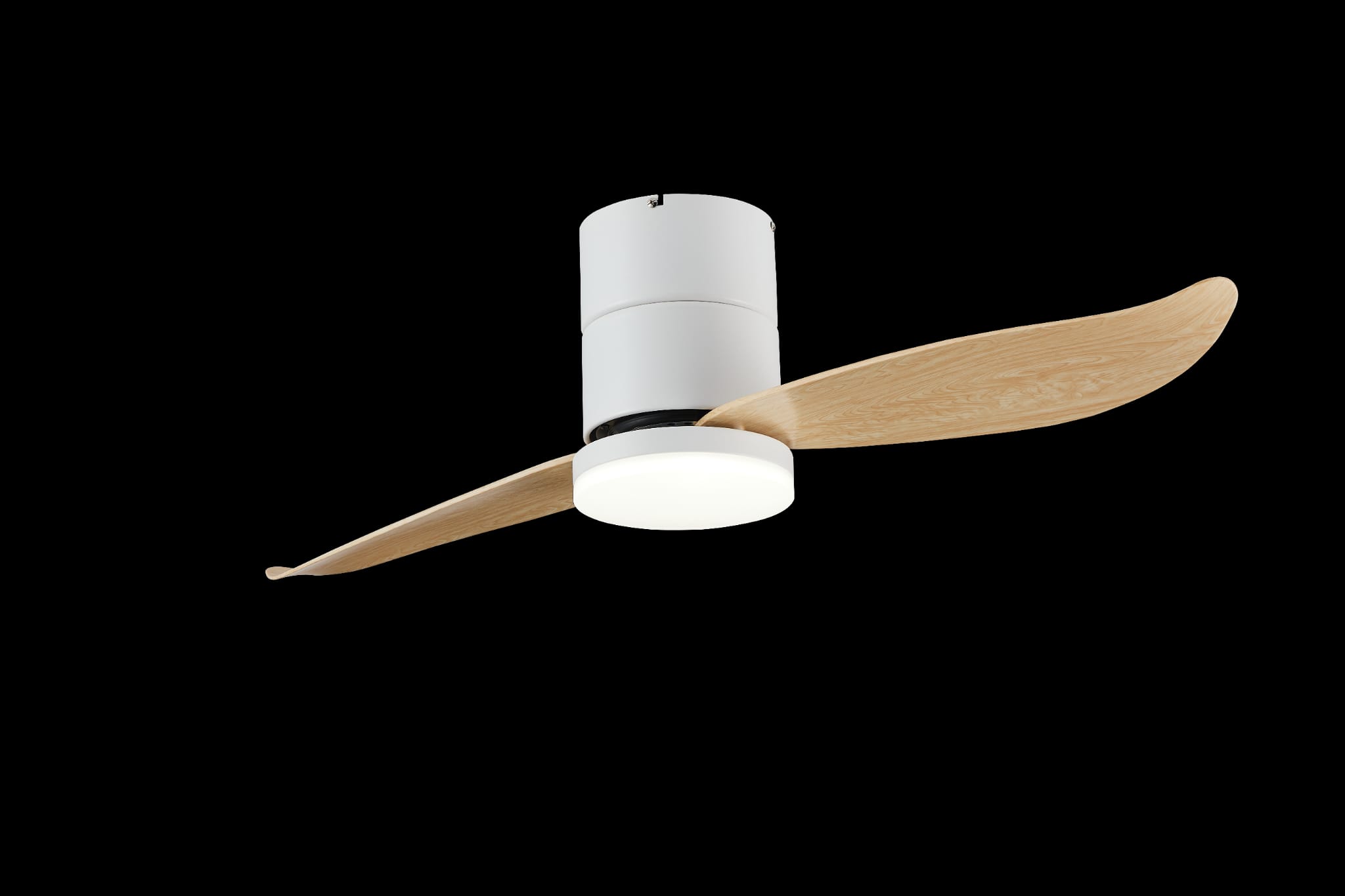 Bestar Falcon WH+PW (1)