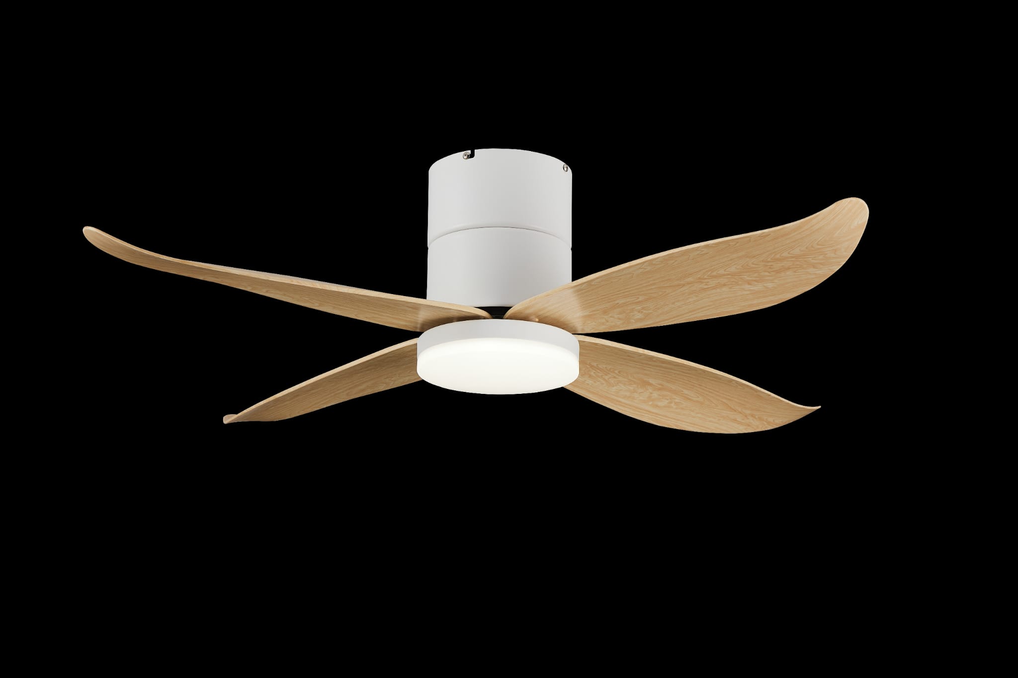 Bestar Falcon WH+PW (2)