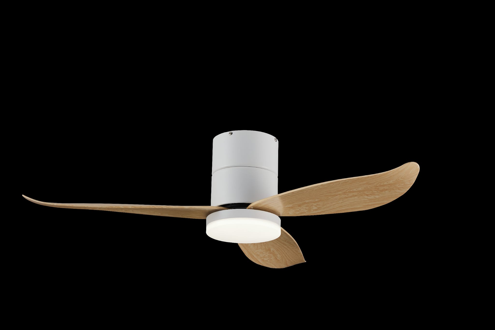 Bestar Falcon WH+PW (3)