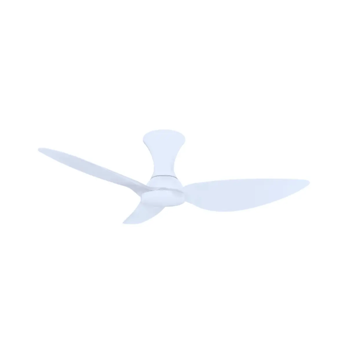 ExoreWhite