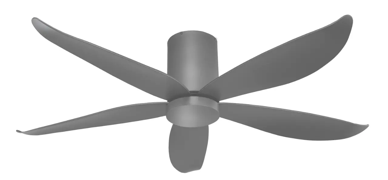 WhatsApp Image 2025-07-30 at 11.06.38 AM (1)