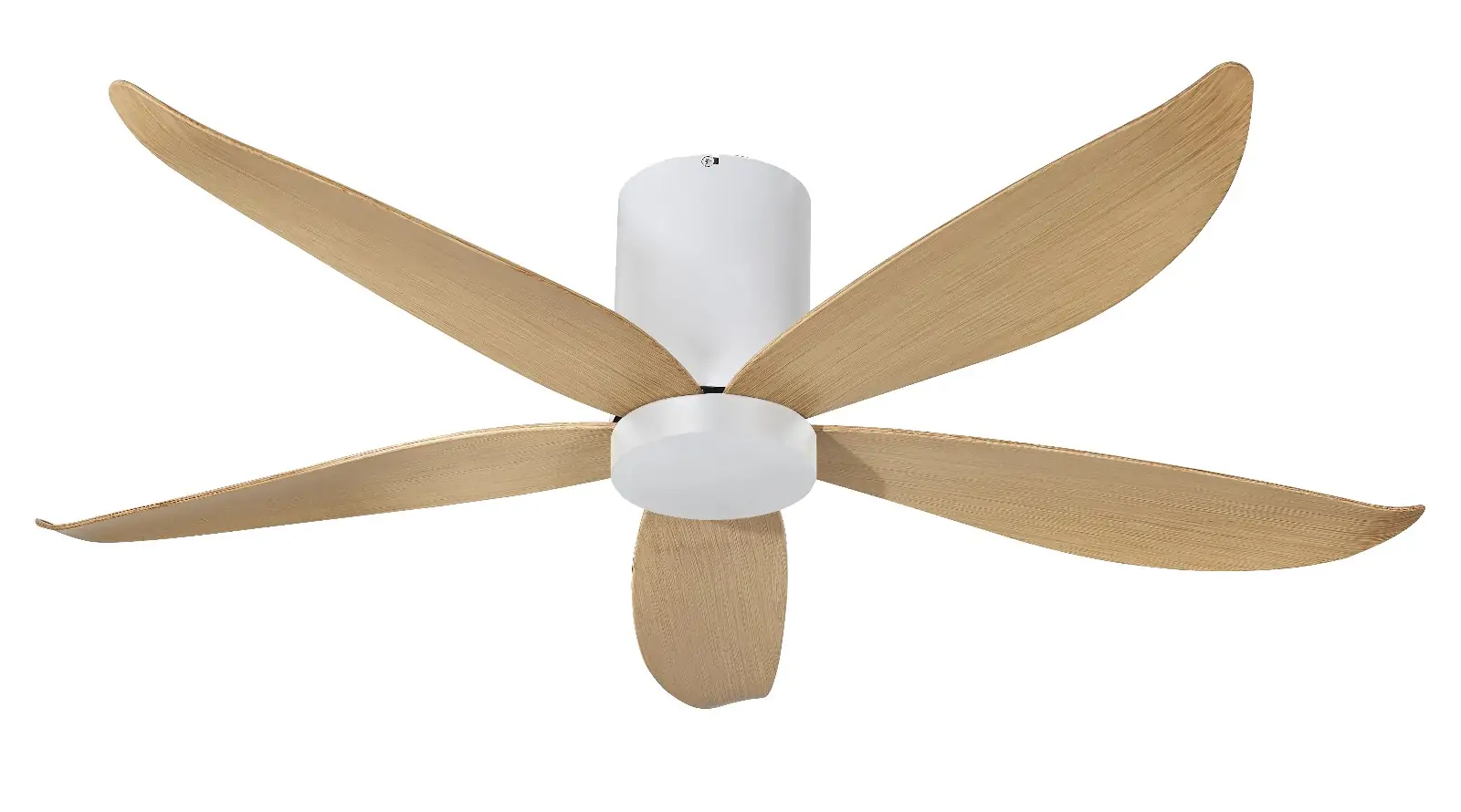 WhatsApp Image 2025-07-30 at 11.06.38 AM