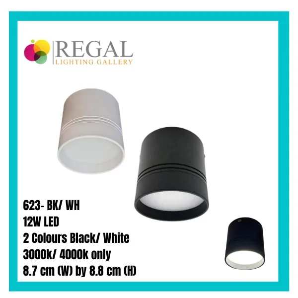 Regal Lighting Gallery surface-mounted 12W LED spotlight in black and white for Singapore ceiling