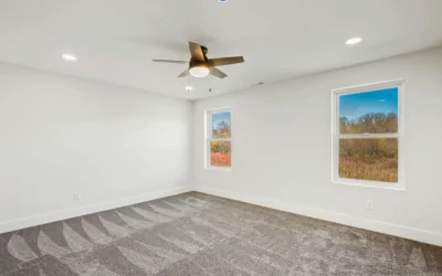 Efenz Ceiling Fan Singapore | Full Review | Regal Lighting